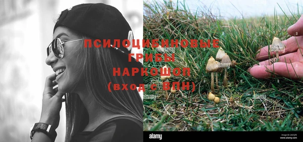 метадон Новозыбков